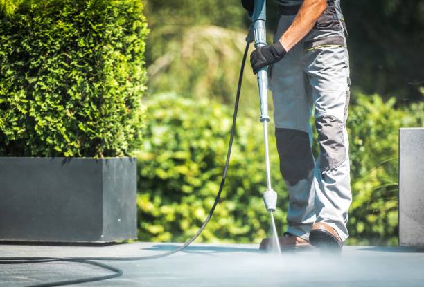 Best Spring Cleaning  in Camden, NJ