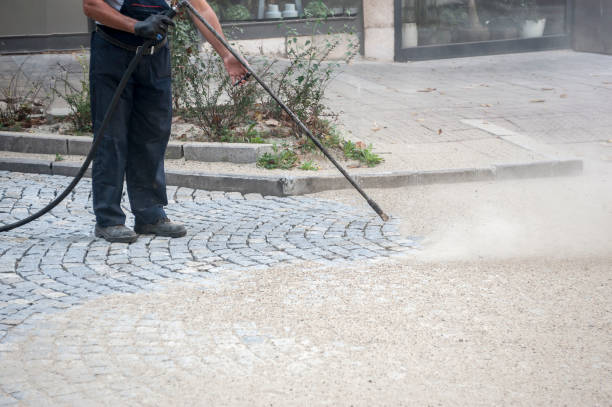 Best Gutter Cleaning  in Camden, NJ