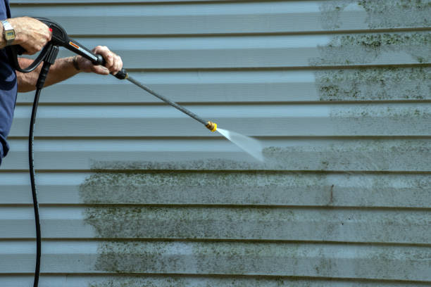 Best Gutter Cleaning  in Camden, NJ